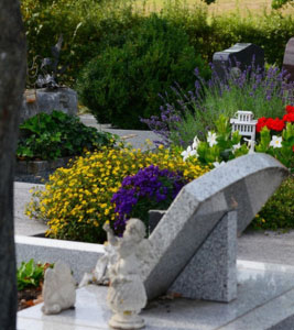 renowacja i odnawianie pomników